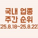 삼일자동차정비공업(주) | 25년 8월 셋째주 주간 국내업종 주간순위 정리