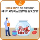알파인리서치(주) 이미지