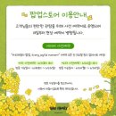조이풀패밀리 이미지