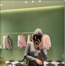 댕글 이미지