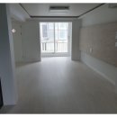 영토탈 이미지