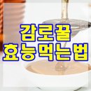최순복농장 이미지