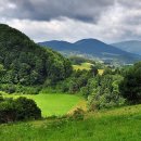 민생 행정사사무소 이미지