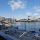 종달리국밥