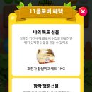 클로버 게임 이미지