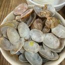 봉창이해물칼국수 - 원주시 만대로 176 | 청주 용암동 봉창이칼국수 해물칼국수 김치만두 솔직후기