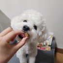 주식회사 에이플러스 | [보리X에이플러스]에이플러스 먹는 재미가 있는 러봉 야채톡톡3종 먹방 후기