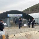 조성1