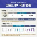 코로나19 국내 현황(7월 24일) 이미지