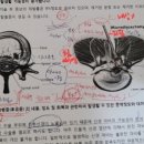 삼성바른병원 이미지