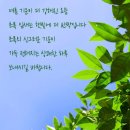 &#34;충북 영동군의 와인 탐구&#34;＜2023.06.16(금)＞ 이미지