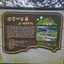 고성곱배