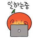 뽀삐애견 이미지