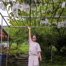 페이브베이커리 양주토도플레이점 | 경기도 가볼만한곳 비올때 놀거리 실내 놀자숲 체험 아이와 맹골마을 등 투어패스 당일치기여행