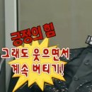 행복해질 개 | 행복해질 거야 힘든 길이라 해도