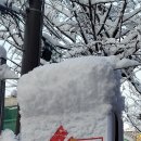 배스킨라빈스안산일동 이미지