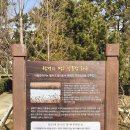 갈맷길 5코스 5-1구간 | 부산 갈맷길 5코스 1구간 약14.1km 낙동강하굿둑 명지오션시티 신호대교 신호항 해안산책로를 걷는 코스