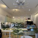 오투에스 이미지