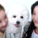 [아이폰스냅/서브스냅] 스튜디오 이응이응 웨딩 계약 후기 l 짝꿍코드 l 10만원대 아이폰 스냅 l 지타워...