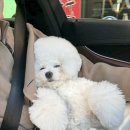 메종VIP203 이미지