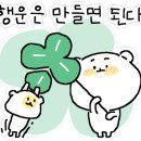 세븐데이 이미지