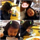 줌줌랜드 이미지