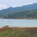 OK행정사 이미지