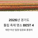 파플뮤직타운 | 2026년 경기도 튤립 축제 명소 BEST 4 및 태안 아산 일정 입장료 총정리