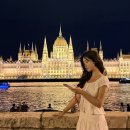 펫아울렛(수영강변점) | 혼자서는 유럽자유여행 포기하고 떠난 2030 유럽일주 후기