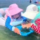 책나라 꿈나래8 | 삼척 그림책나라 실내 키즈카페 오션뷰 도서관이 있음에도 무료