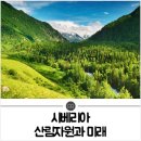 한림임업