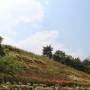 장산 축구장 | 해운대신시가지에 또다른 공원, 장산공원에서 산책 어떠세요?