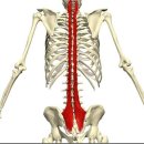 바디힐짐 이미지