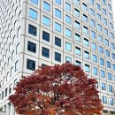 연지동-7 이미지