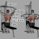 피티인거여 이미지