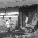일용이네
