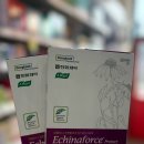 느리울약국 이미지