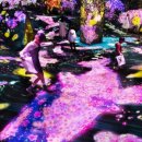 포레스트 랩(FOREST LAB) 이미지