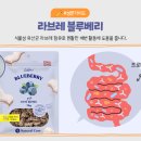 라브레 이미지