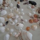 바다가 보이는 펜션 이미지