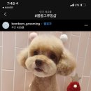 봄봄그루밍샵 이미지