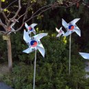 계산성당, 태극기, 이미지