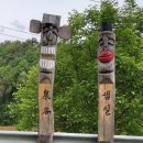 물야면 이팝나무 이미지