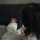 오현남 네이버블로그