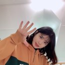 가평 애견펜션 : 탑클라우스 스파펜션 (스파 & 중형견 가능)