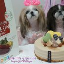 둥이PC 이미지