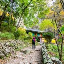 주왕암입구 이미지