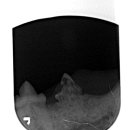 박물관옆동물병원 이미지