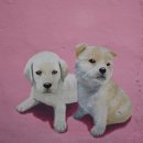 옹기종기 이미지