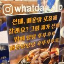 왔다회초장 네이버블로그